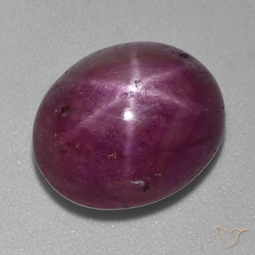 10.00ct 天然 中深紫色 星光红宝石, 椭圆形, 不透明