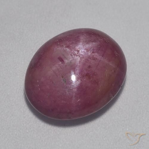 8.30ct 天然 中深紫色 星光红宝石, 椭圆形, 不透明