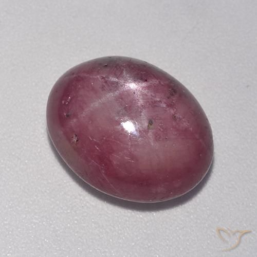 7.78ct 天然 梅紫色 星光红宝石, 椭圆形, 不透明