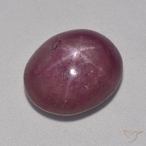 10.86ct 天然 梅紫色 星光红宝石, 椭圆形, 不透明