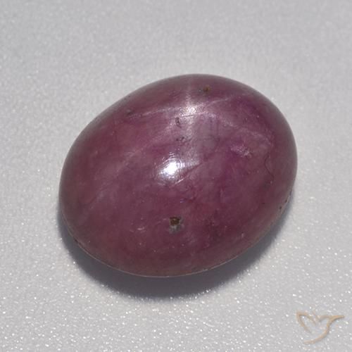 9.03ct 天然 梅紫色 星光红宝石, 椭圆形, 不透明