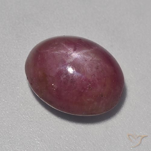 8.17ct 天然 梅紫色 星光红宝石, 椭圆形, 不透明