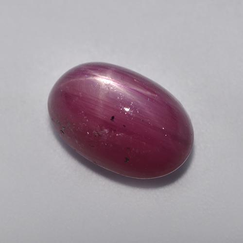 5.49克拉天然紫色星光红宝石，椭圆形切割，11×7.2毫米，不透明