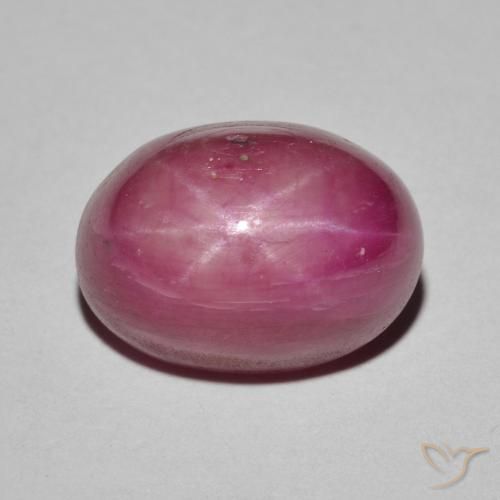 9.59ct 天然 粉红色 星光红宝石, 椭圆形, 不透明