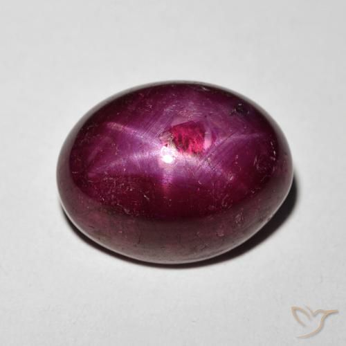 11.24ct 天然 酒红色 星光红宝石, 椭圆形, 不透明