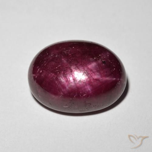 9.13ct 天然 深红色 星光红宝石, 椭圆形, 不透明