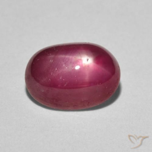 3.19ct 天然 果酱红 星光红宝石, 椭圆形, 不透明