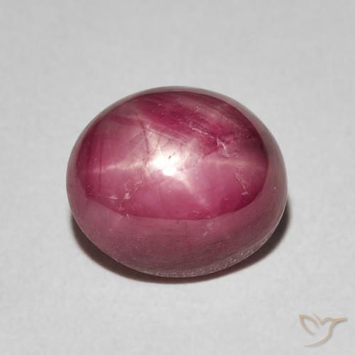 4.40ct 天然 中红 星光红宝石, 椭圆形, 不透明