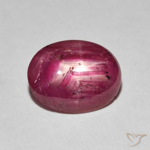 3.16ct 天然 中红 星光红宝石, 椭圆形, 不透明