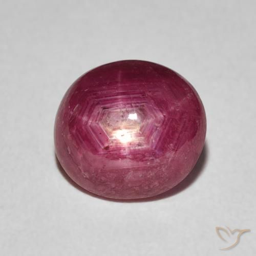 3.31ct 天然 中红 星光红宝石, 椭圆形, 不透明