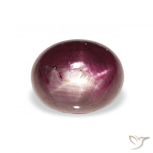 3.21ct 天然 中紫色 星光红宝石, 椭圆形, 不透明
