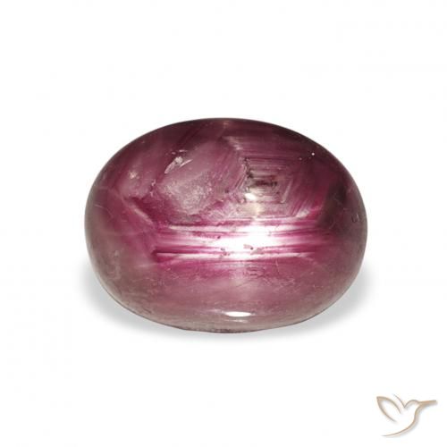 4.34ct 天然 Medium Dark-Purple 星光红宝石, 椭圆形, 不透明