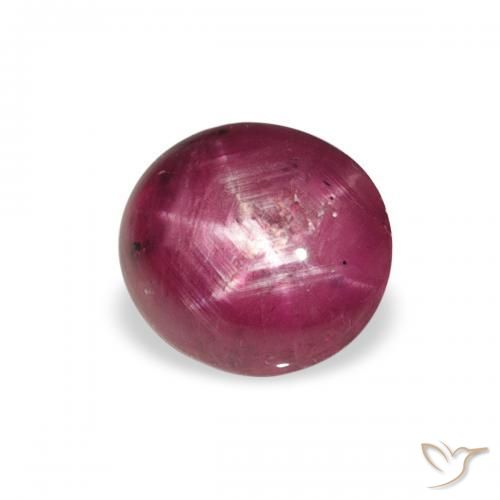 2.50ct 天然 Medium Light-Purple 星光红宝石, 椭圆形, 不透明