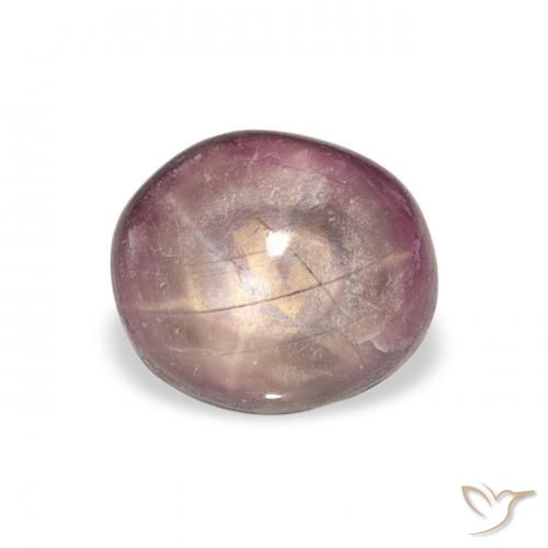 4.41ct 天然 Medium Dark-Purple 星光红宝石, 椭圆形, 不透明