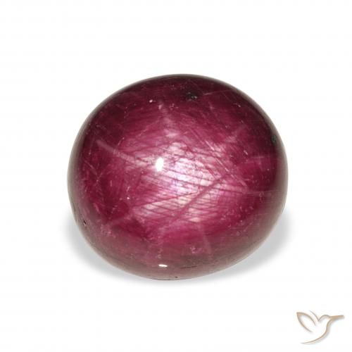 11.86ct 天然 粉紫色 星光红宝石, 椭圆形, 不透明
