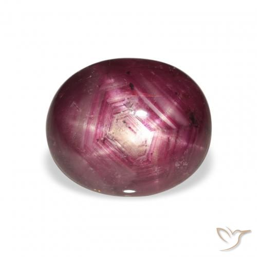 5.69ct 天然 Medium Dark-Purple 星光红宝石, 椭圆形, 不透明