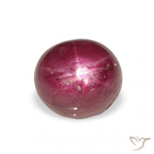 3.37ct 天然 品红色-粉红色 星光红宝石, 椭圆形, 不透明