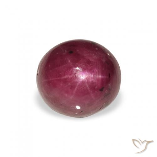 3.15ct 天然 品红色-粉红色 星光红宝石, 椭圆形, 不透明