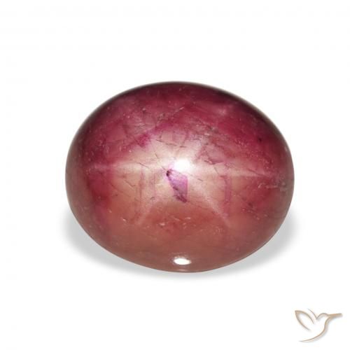 8.14ct 天然 Medium Light-Purple 星光红宝石, 椭圆形, 不透明