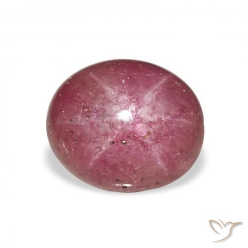 6.23ct 天然 品红色 星光红宝石, 椭圆形, 不透明