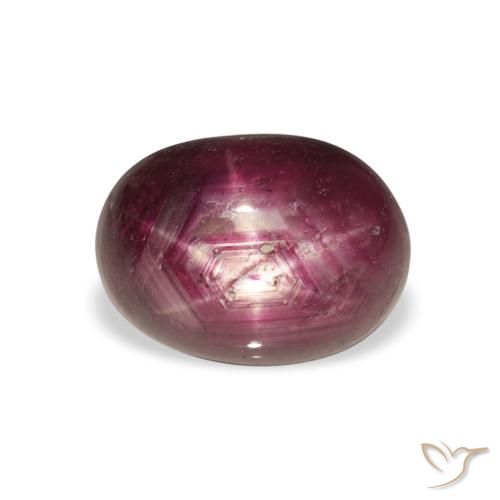 6.23ct 天然 粉紫色 星光红宝石, 椭圆形, 不透明