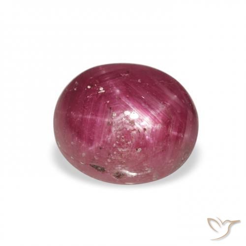 3.43ct 天然 粉红色浆果紫色 星光红宝石, 椭圆形, 不透明