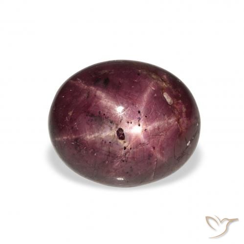 9.90ct 天然 红紫色 星光红宝石, 椭圆形, 不透明