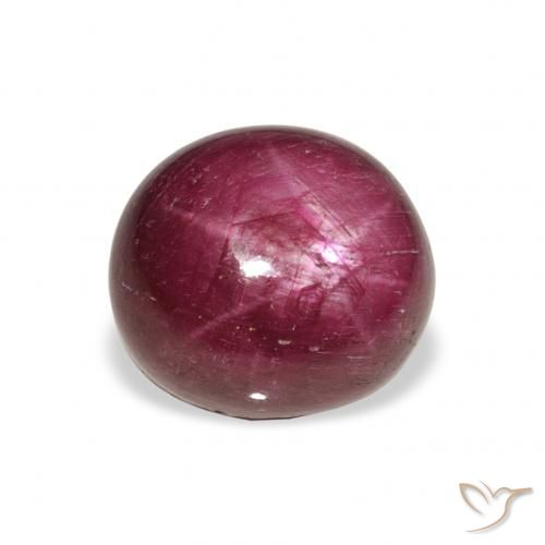 9.87ct 天然 Medium Dark-Purple 星光红宝石, 椭圆形, 不透明