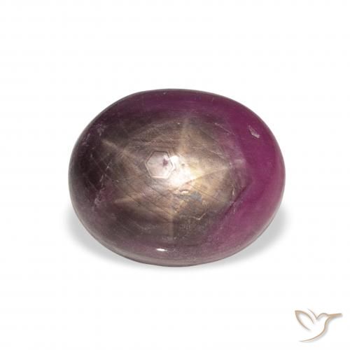 9.04ct 天然 红紫色 星光红宝石, 椭圆形, 不透明