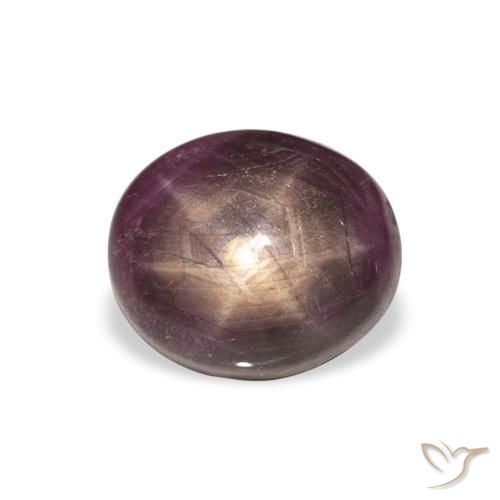 6.28ct 天然 Medium Dark-Purple 星光红宝石, 椭圆形, 不透明