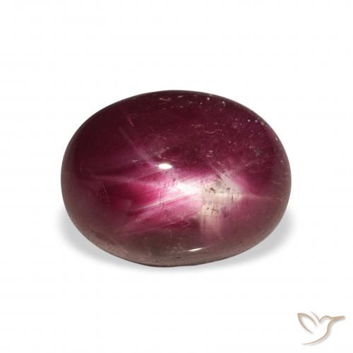 6.34ct 天然 暗红色 星光红宝石, 椭圆形, 不透明