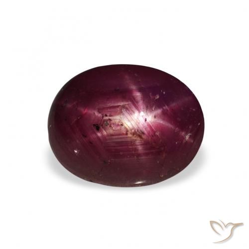 3.20ct 天然 深红色 星光红宝石, 椭圆形, 不透明