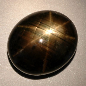 24.91克拉天然黑色星光蓝宝石，椭圆形切割，17.6×15.1毫米，不透明