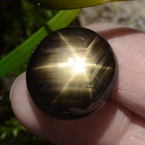 30.49克拉天然黑色星光蓝宝石，椭圆形切割，18.9×17.4毫米，不透明