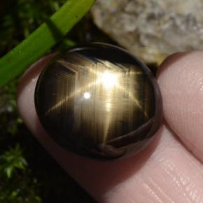 30.49克拉天然黑色星光蓝宝石，椭圆形切割，18.9×17.4毫米，不透明