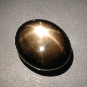 8.56克拉天然黑色星光蓝宝石，椭圆形切割，12.2×10.1毫米，不透明