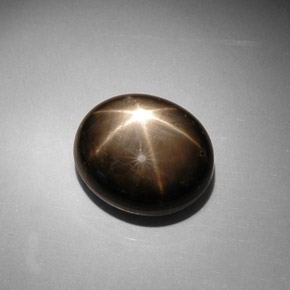 17.90克拉天然黑色星光蓝宝石，椭圆形切割，15.4×13.4毫米，不透明