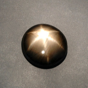 12.04克拉天然黑色星光蓝宝石，椭圆形切割，15.7×14.7毫米，不透明