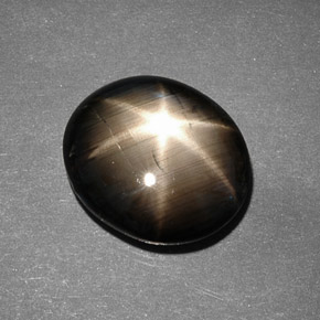 9.26克拉天然黑色星光蓝宝石，椭圆形切割，14.1×12毫米，不透明