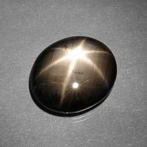 9.26克拉天然黑色星光蓝宝石，椭圆形切割，14.1×12毫米，不透明