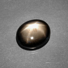 7.88克拉天然黑色星光蓝宝石，椭圆形切割，12.1×10毫米，不透明