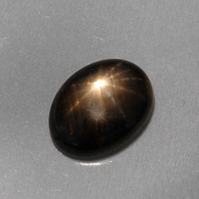 1.59克拉天然黑色星光蓝宝石，椭圆形切割，8.2×6.2毫米，半透明