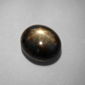 12.34克拉天然黑色星光蓝宝石，椭圆形切割，12.2×10.4毫米，不透明