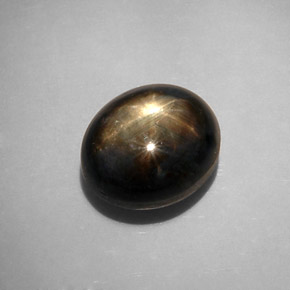 12.34克拉天然黑色星光蓝宝石，椭圆形切割，12.2×10.4毫米，不透明
