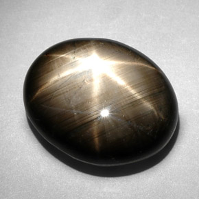 10.83克拉天然黑色星光蓝宝石，椭圆形切割，14.1×11.5毫米，不透明