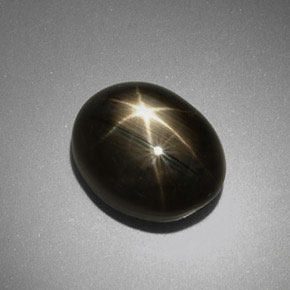 9.92克拉天然黑色星光蓝宝石，椭圆形切割，12.8×10毫米，不透明