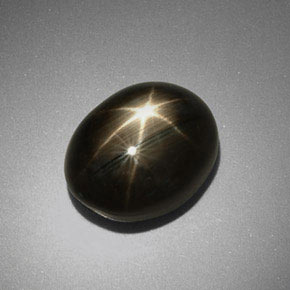 9.92克拉天然黑色星光蓝宝石，椭圆形切割，12.8×10毫米，不透明