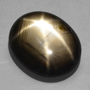 20.32克拉天然黑色星光蓝宝石，椭圆形切割，19.2×15.9毫米，不透明