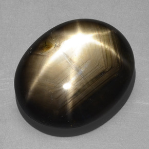 20.32克拉天然黑色星光蓝宝石，椭圆形切割，19.2×15.9毫米，不透明