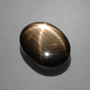 7.53克拉天然黑色星光蓝宝石，椭圆形切割，12.5×9.8毫米，不透明